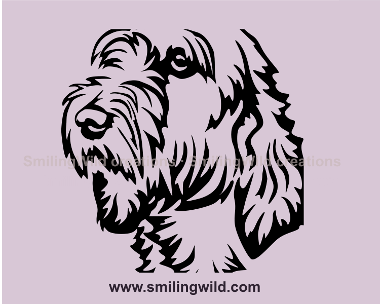 etit Basset Griffon Vendéen vector desig close up portrait