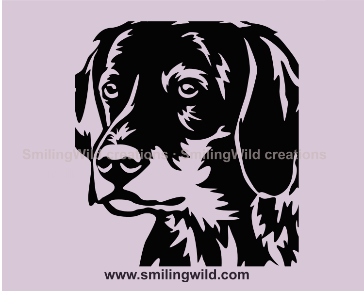 Plott hound close up portrait