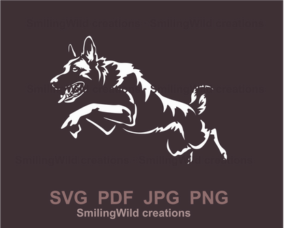 jumping malinois in white graphic design