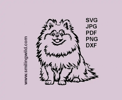 Realistic black SVG, png and dxf image of a sitting Pomeranian Spitz dog – vector clipart for laser cutting and Cricut