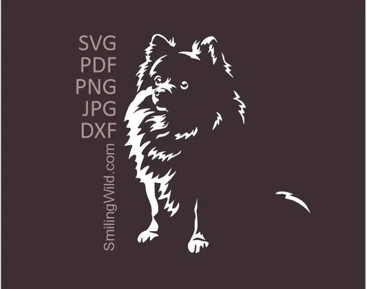 Pomeranian Spitz SVG White Vector Clipart for dark surfaces. Spitz dog graphic optimized for Cricut cutting.