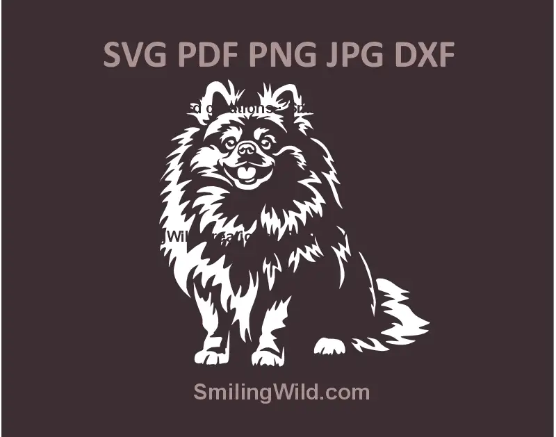 Realistic sitting Pomeranian Spitz clipart in SVG, PNG, and DXF formats – black vector graphic for Cricut, Silhouette, and laser cutting crafts