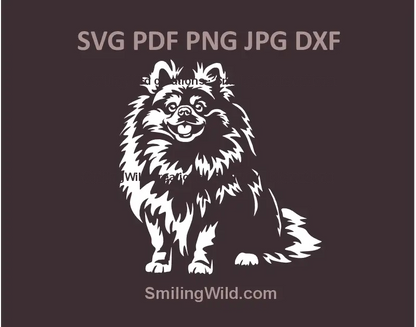 Realistic sitting Pomeranian Spitz clipart in SVG, PNG, and DXF formats – black vector graphic for Cricut, Silhouette, and laser cutting crafts
