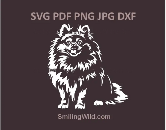 Realistic sitting Pomeranian Spitz clipart in SVG, PNG, and DXF formats – black vector graphic for Cricut, Silhouette, and laser cutting crafts