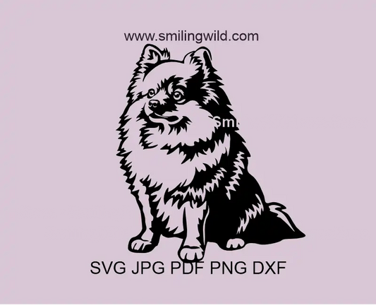 Sitting , full body Pomeranian Spitz SVG vector graphic file. High-quality dog drawing optimized for Cricut cutting.