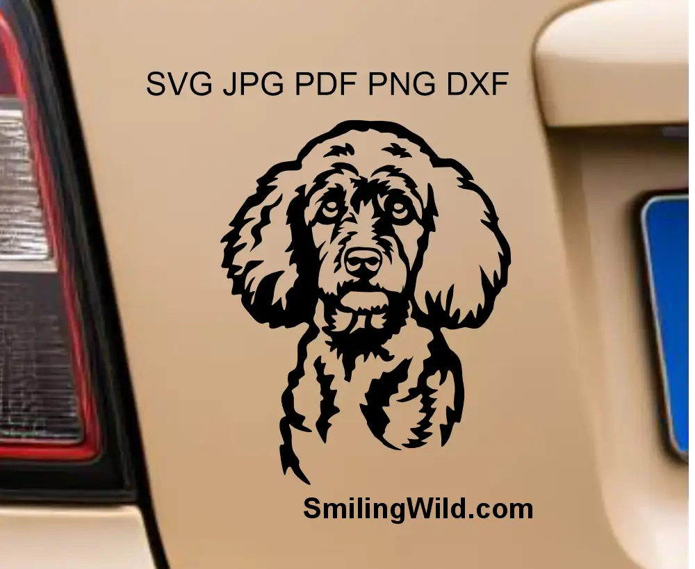 Custom line art drawing of a Poodle  head with a clean transparent background in PNG graphic format for cutting and presented as a car sticker.