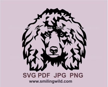 Poodle face made in svg cuttable image in black color