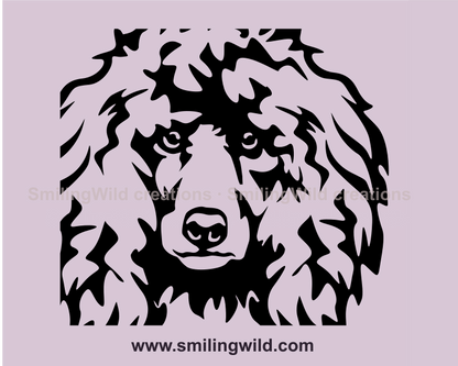 poodle vector graphic design illustration
