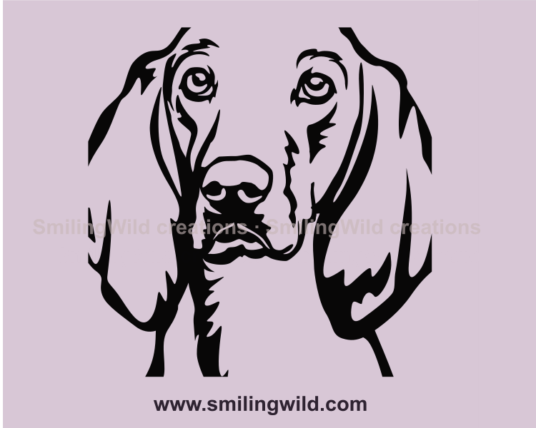 porcelaine dog breed in close up art