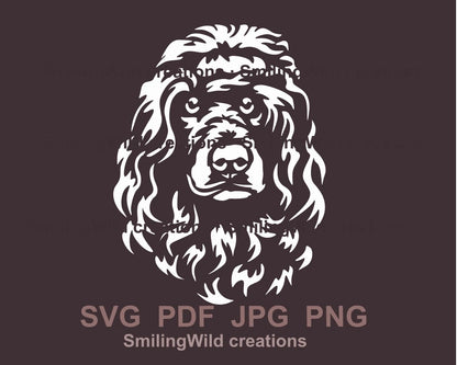 White graphic image of Portuguese water dog