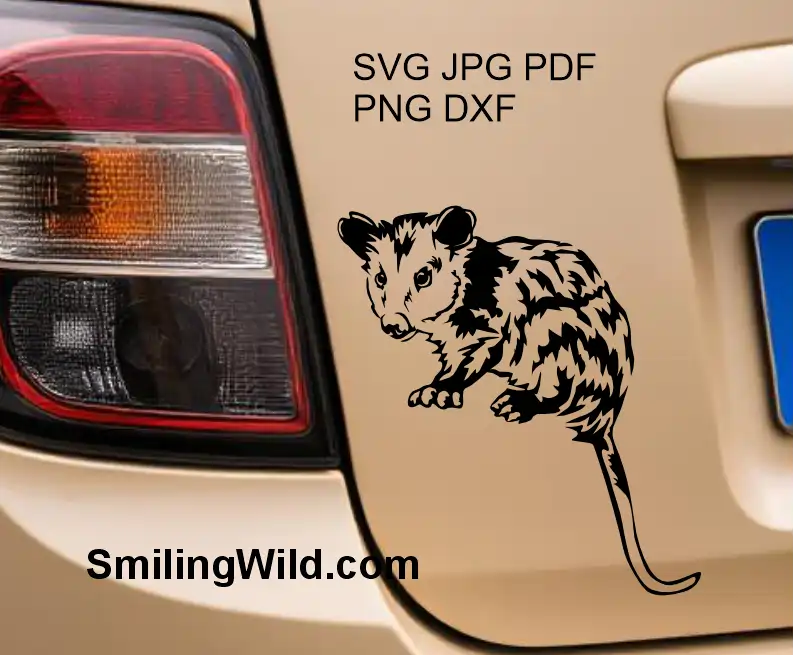 a car sticker with Opossum digital design cut file in SVG PNG DXF vector graphic format for crafting and engraving