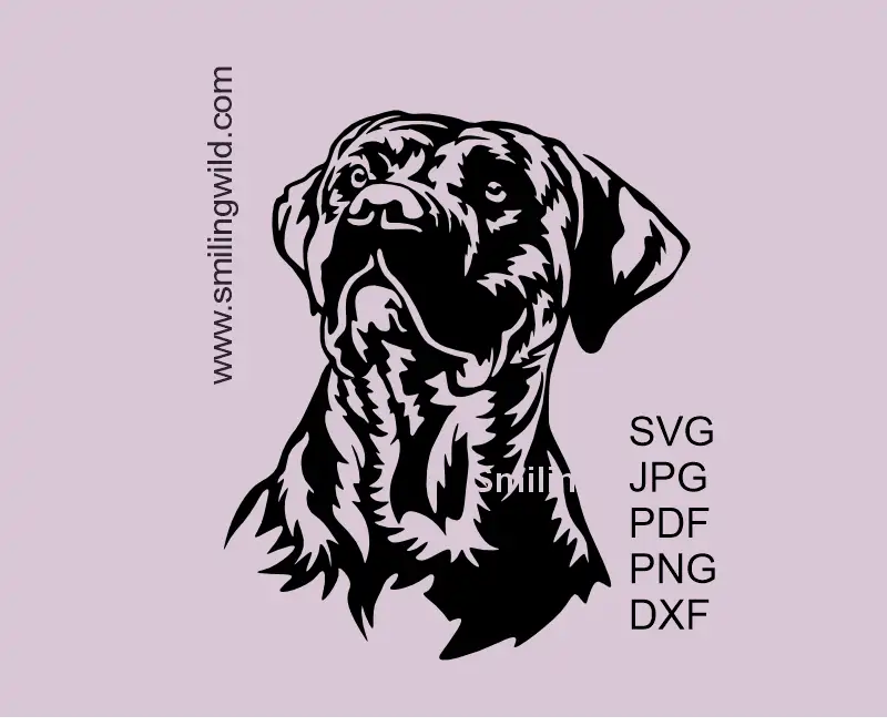 Presa Canario SVG Clipart Graphic. High-resolution Canarian Mastiff Vector Art optimized for Cricut and other cutting & laser machines.