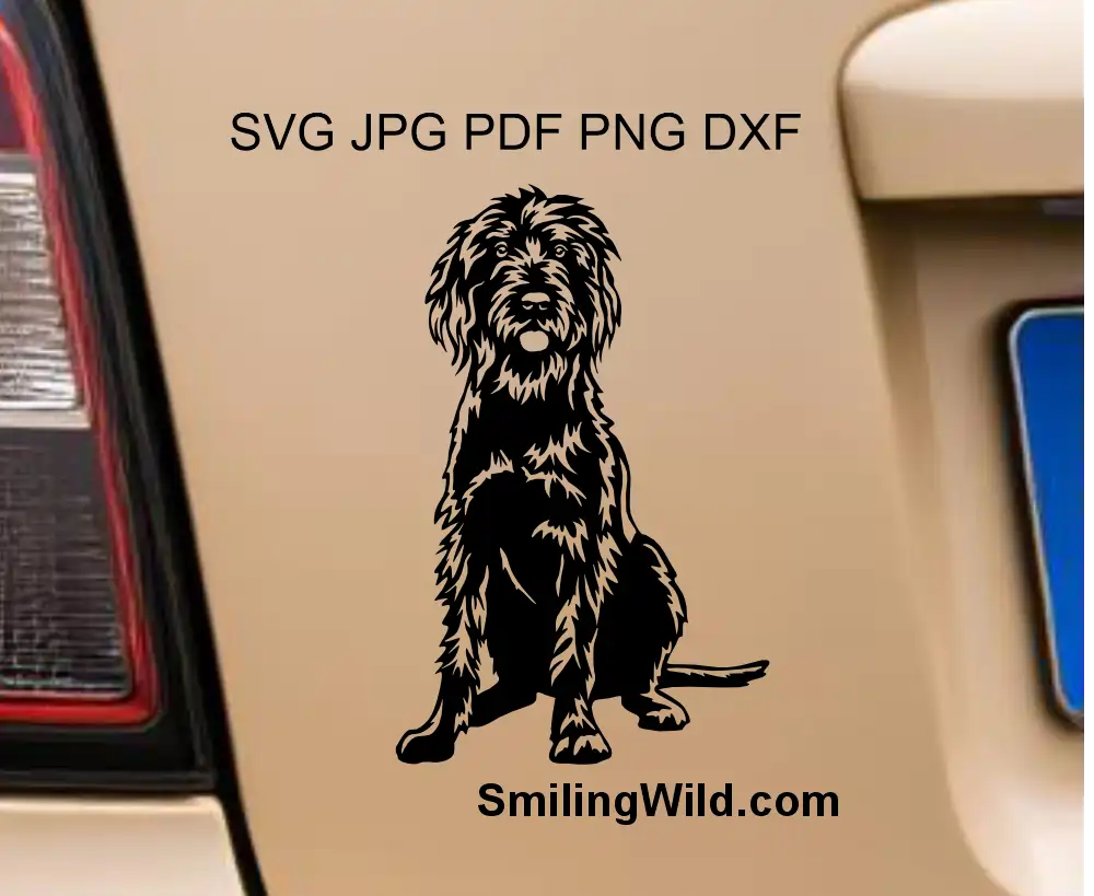 a car decal presentation of a pudelpointer in sitting position svg and png vector clipart image