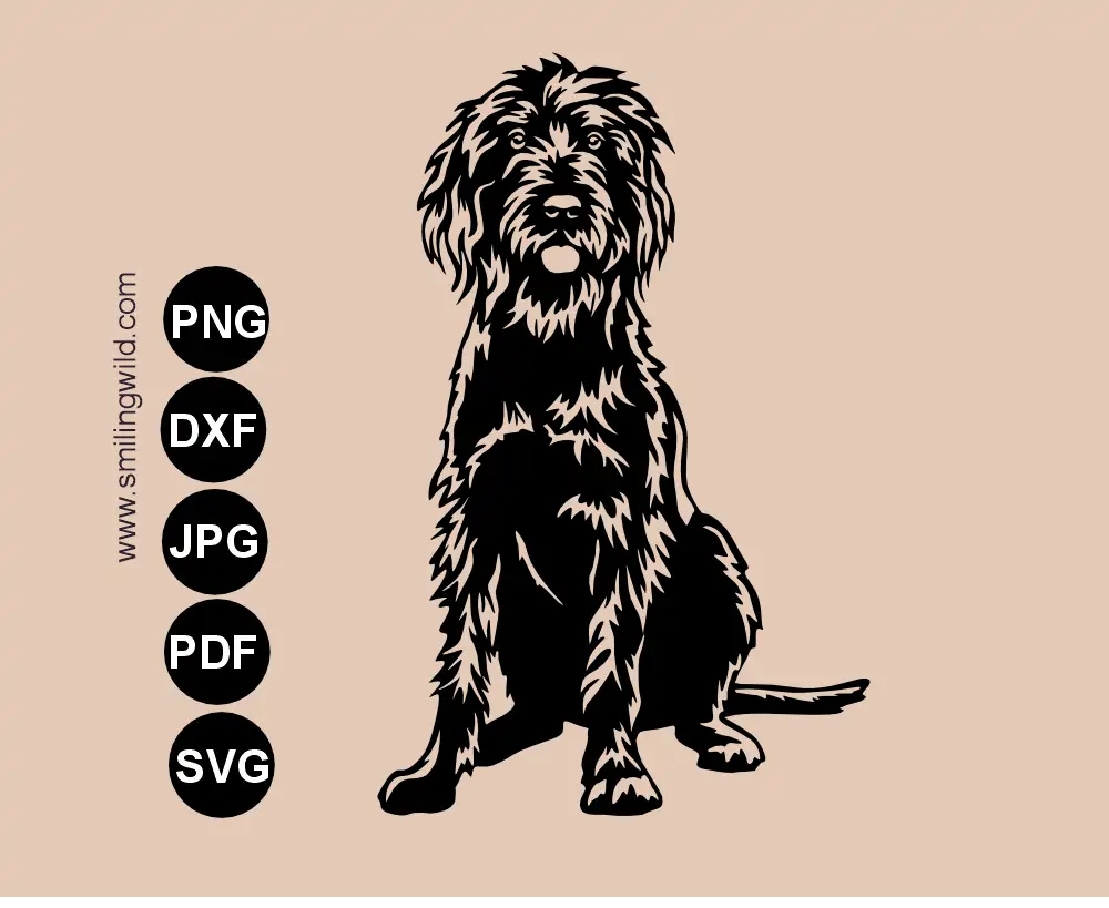 Full body sitting pudlepointer vector graphic image of a frontal dog sVG, png and DXF Cut file illustration