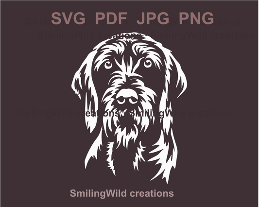 A white vector graphic illustration of a pudelpointer frontal face portrait