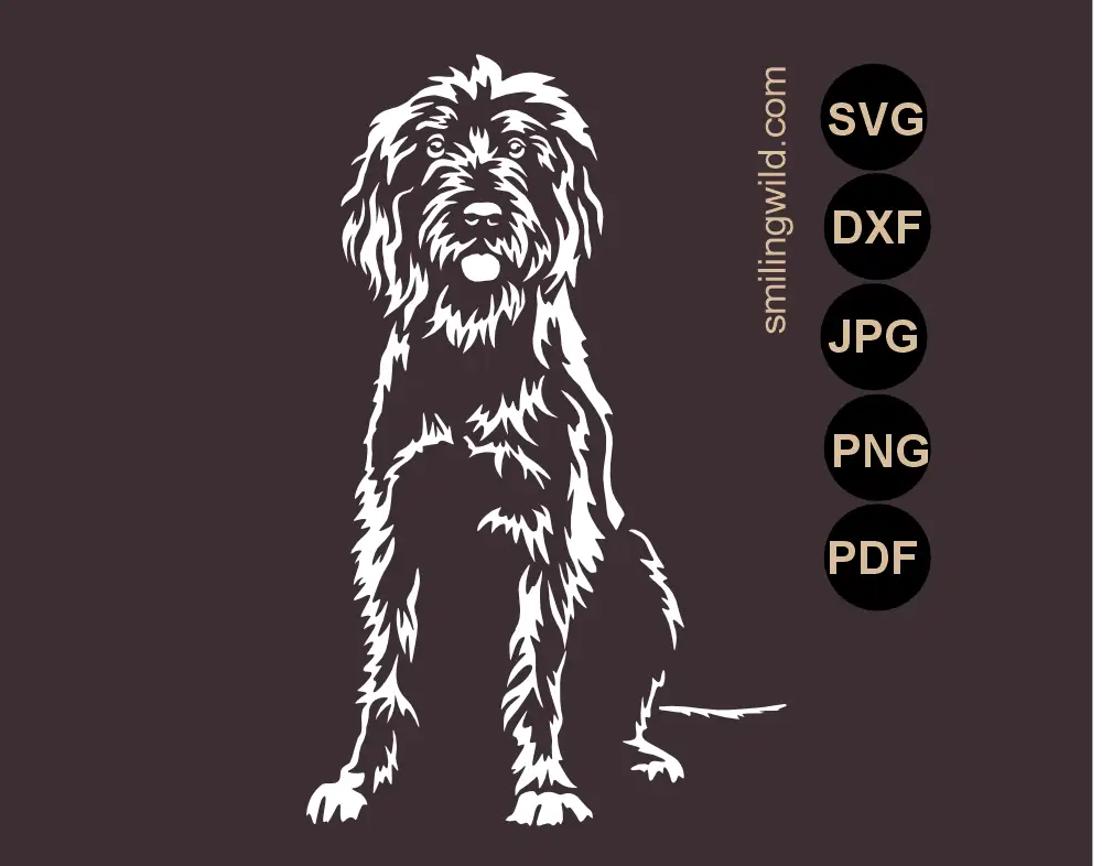 a white svg vector graphic cut file presentation of a sitting full body pudelpointer frontal SVG, PNG and DXF illustration