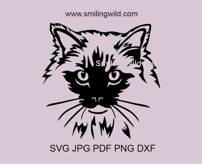 Black Ragdoll cat head SVG, PNG, DXF file – vector clipart for Cricut and laser cutting