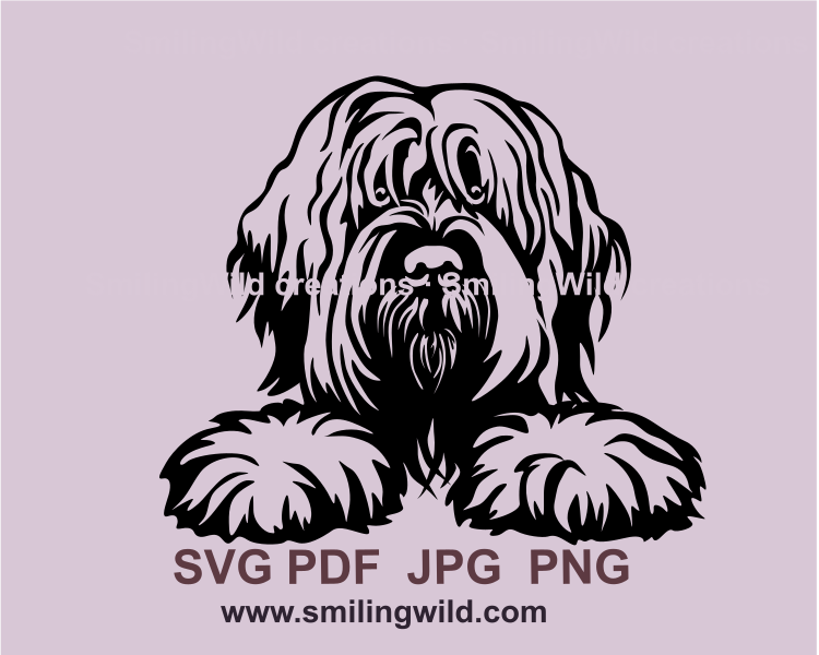 peeking briard dog made in graphic style with its paws on the table