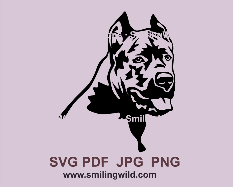 Cane corso looking over its shoulder made in graphic style