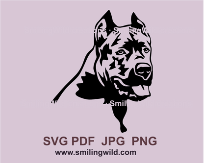 Cane corso looking over its shoulder made in graphic style