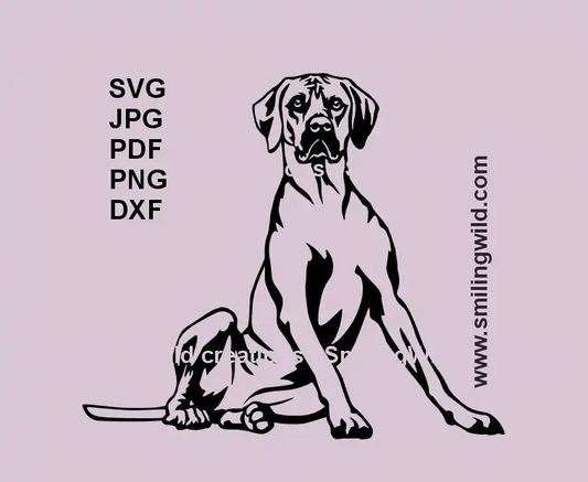 Rhodesian Ridgeback SVG full-body vector graphic for Cricut and laser cutting