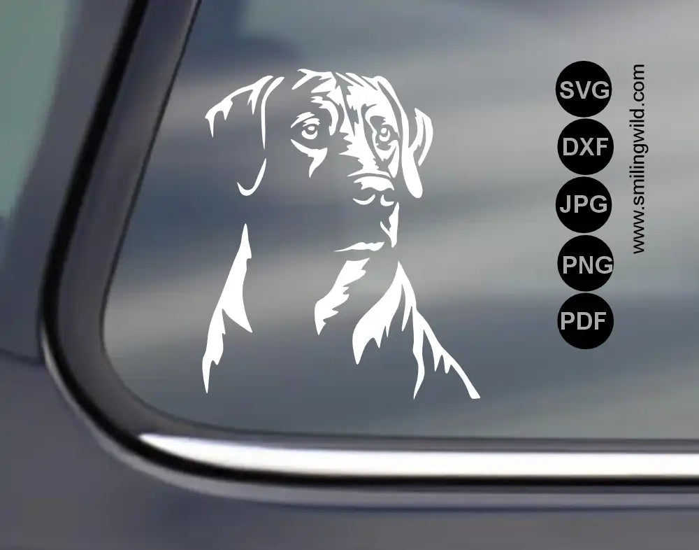 Rhodesian ridgeback white svg and png vector clipart file presented as a car decal