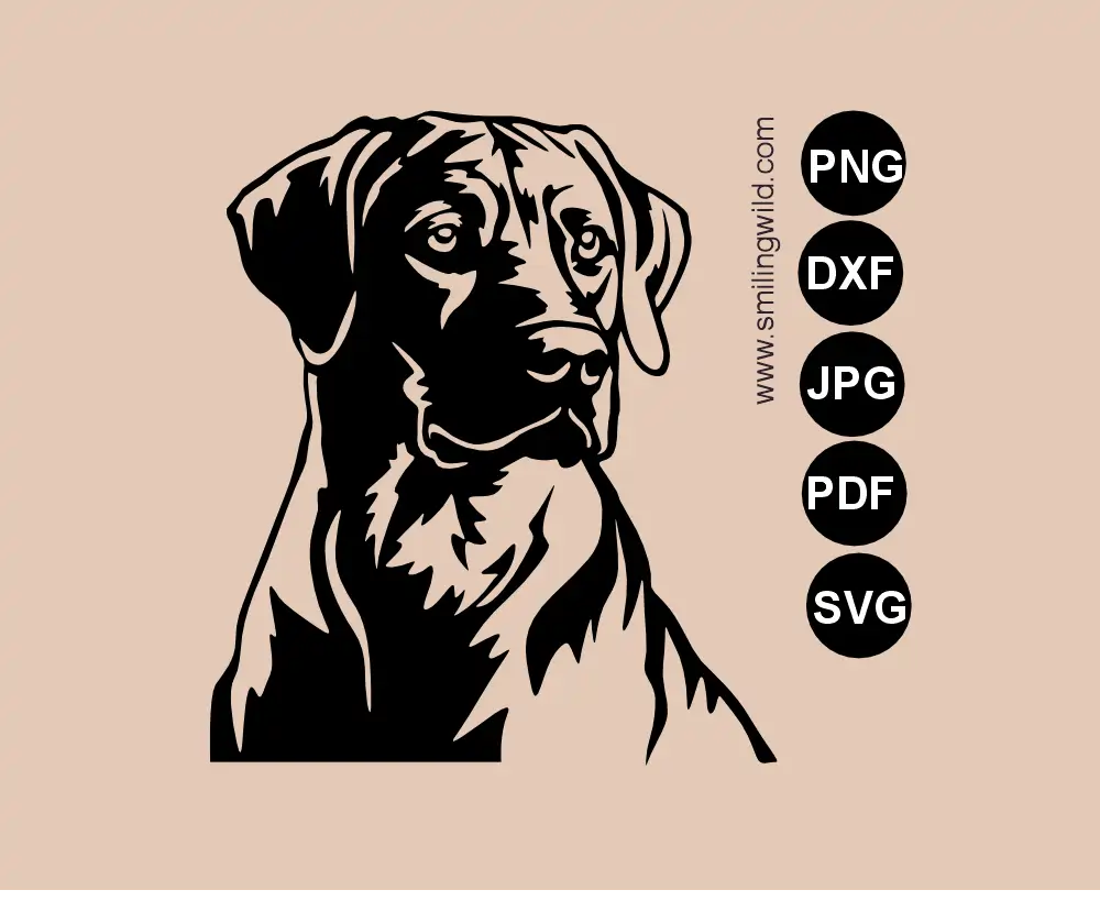 Rhodesian Ridgeback dog portrait vector graphic SVG, DXF, and PNG cut file preview to demonstrate this dog breed art for Cricut and Silhouette cutting