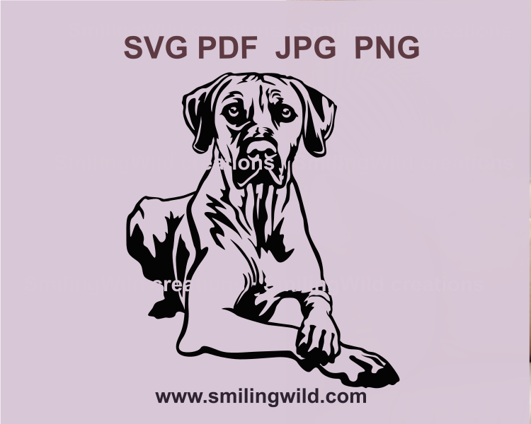 Realistic Rhodesian Ridgeback SVG clip art featuring intricate details, ideal for dog-themed crafts, Cricut projects, and laser cutting designs.