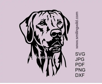 Rhodesian Ridgeback SVG PNG DXF – vector dog head clipart for Cricut and laser cutting crafts