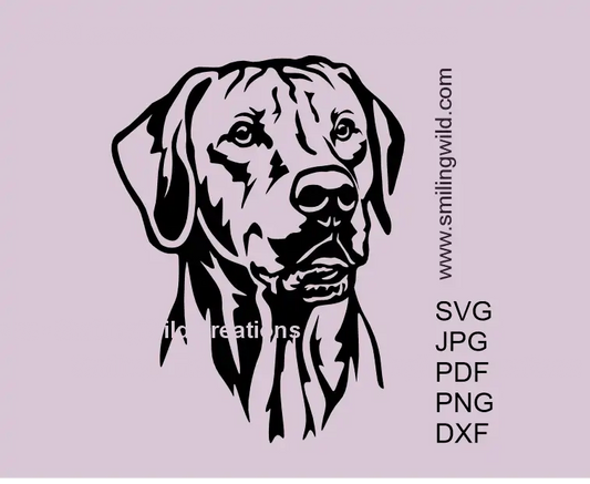 Rhodesian Ridgeback SVG PNG DXF – vector dog head clipart for Cricut and laser cutting crafts