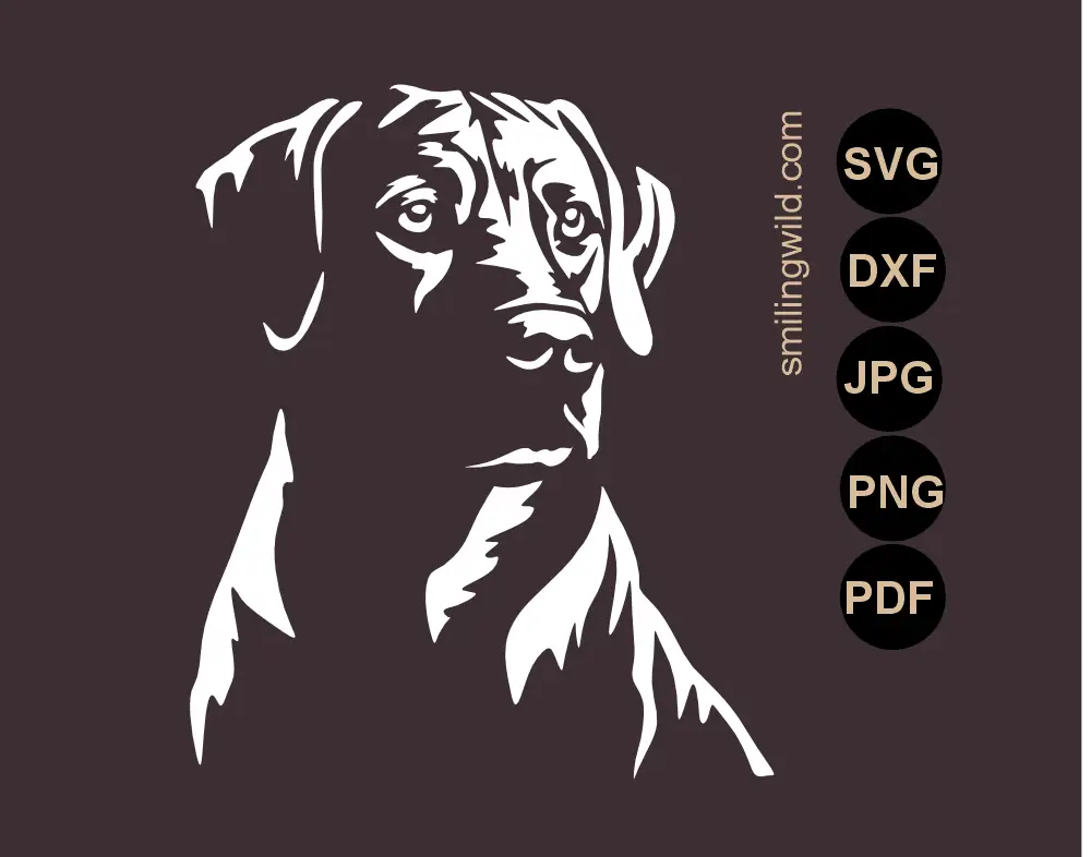 White SVG, PNG and dxf vector cut file of a Rhodesian Ridgeback stencil file for airbrush painting, glass etching and other crafts