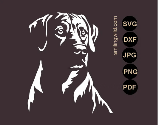 White SVG, PNG and dxf vector cut file of a Rhodesian Ridgeback stencil file for airbrush painting, glass etching and other crafts