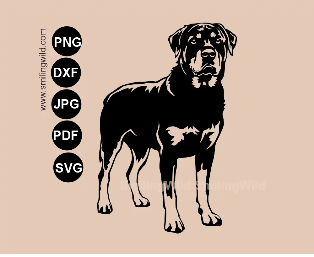 Rottweiler svg dxf standing dog cut file for professional digital design