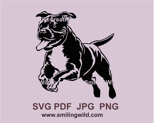 running American Pit Bull Terrier graphic drawing image