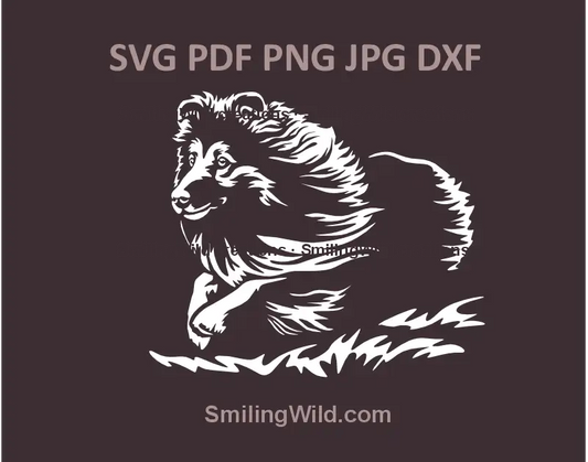 White Sheltie vector design in SVG, PNG, DXF formats – running Shetland Sheepdog clipart for laser cutting and engraving