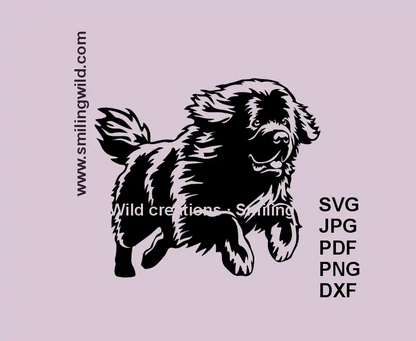 Realistic running Newfoundland dog SVG, PNG, and DXF vector file for Cricut and laser cutting projects – black clipart for pet-themed crafts
