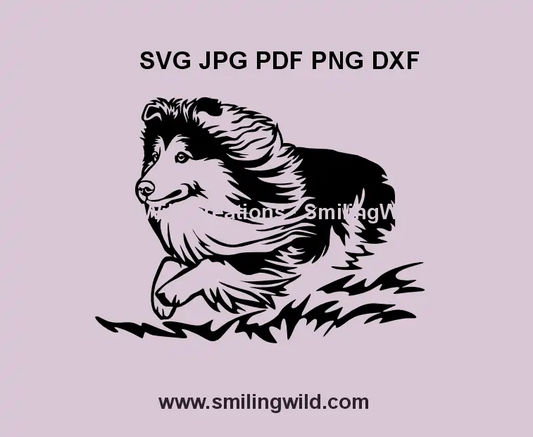 Running Sheltie dog SVG, png and dxf file – black vector design of a herding dog for Cricut and laser cutting projects