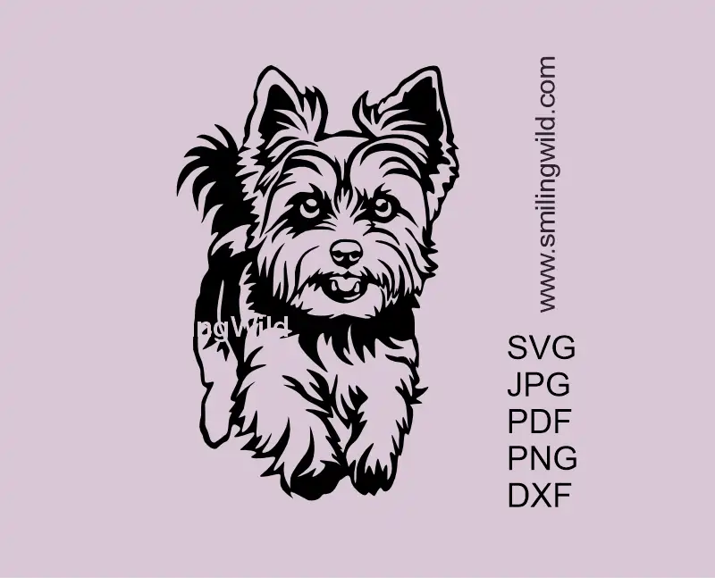 Running Yorkie vector clipart (full body Yorkshire Terrier), includes SVG/PNG/DXF