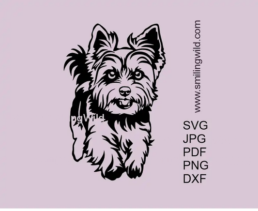 Running Yorkie vector clipart (full body Yorkshire Terrier), includes SVG/PNG/DXF