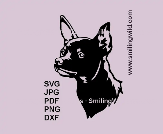 SVG file of Russian Toy Terrier dog head vector for Cricut cutting