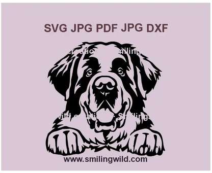 Saint Bernard Dog Face SVG, png, dxf files for download and Laser Cutting and Engraving