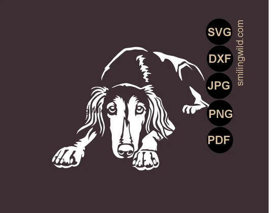 Saluki Stencil SVG clipart in white color and dog cut file optimized for DIY painting and wall art projects.