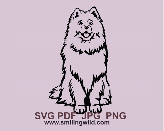 Samoyed dog rawing in clip art style with transparent background