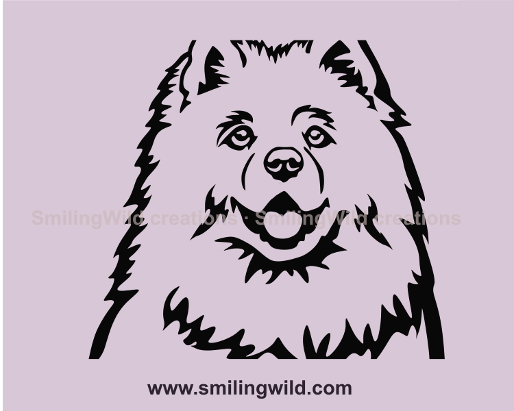 Samoyed dog portrait