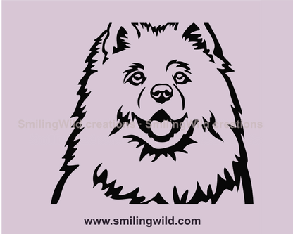 Samoyed dog portrait