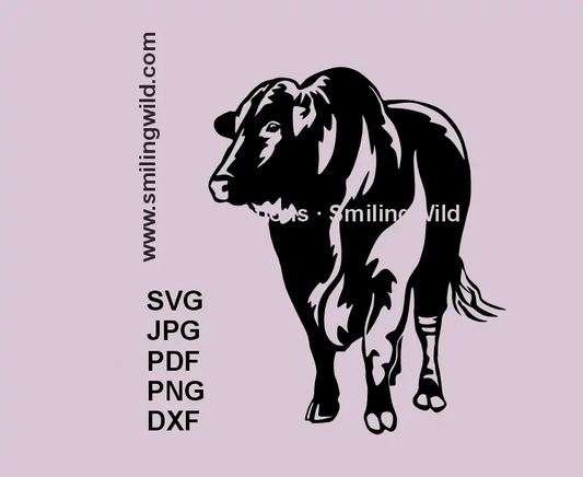Santa Gertrudis Bull SVG, PNG, DXF black clipart, a cattle in standing pose preview for Cricut, laser cutting, farm animal rustic crafts