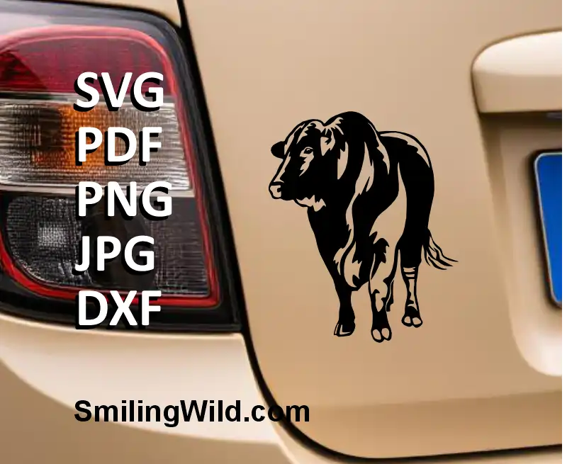 Santa Gertrudis Cattle Bull SVG, DXF black clipart, standing pose displayed on a mocup mockup for car window decal, Cricut, laser cutting, farm animal decor