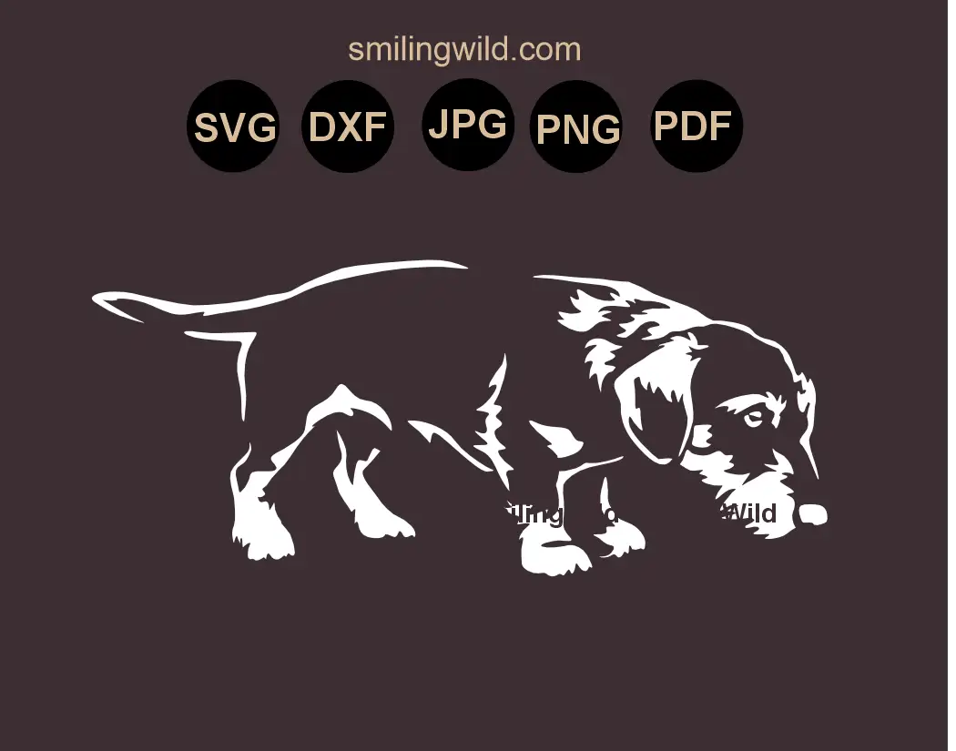 Scent Tracking wirehaired Dachshund SVG, png and dxf clipart in a hunting pose for vinyl decals in white color