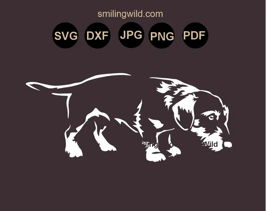 Scent Tracking wirehaired Dachshund SVG, png and dxf clipart in a hunting pose for vinyl decals in white color