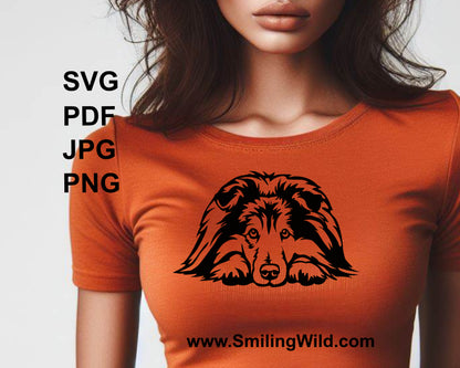 sheltie printed in black color on t shirt